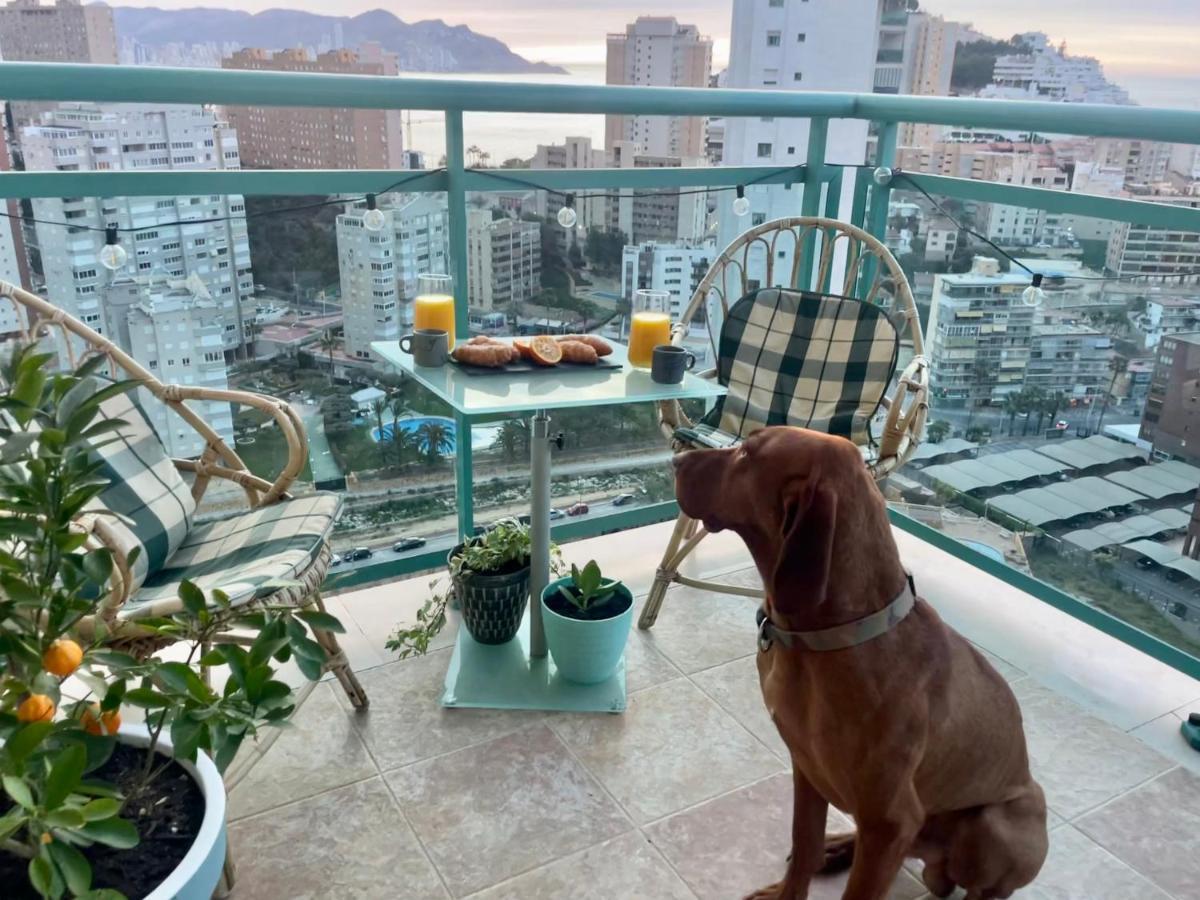 Apartment Traveler's With Sea View, Free Coffee & Parking